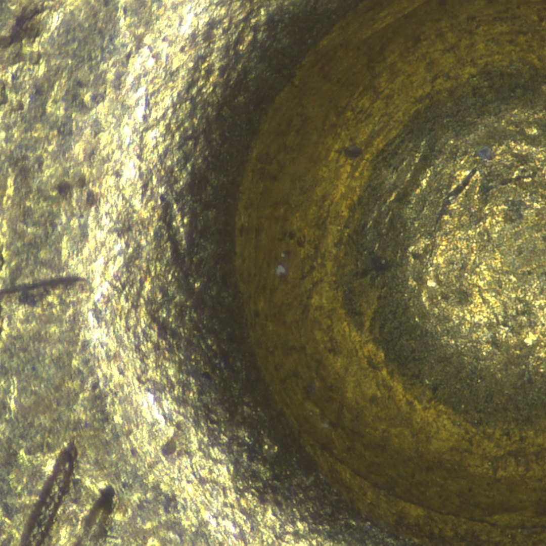 Shell Traces EDF-- Stereo 4.5X