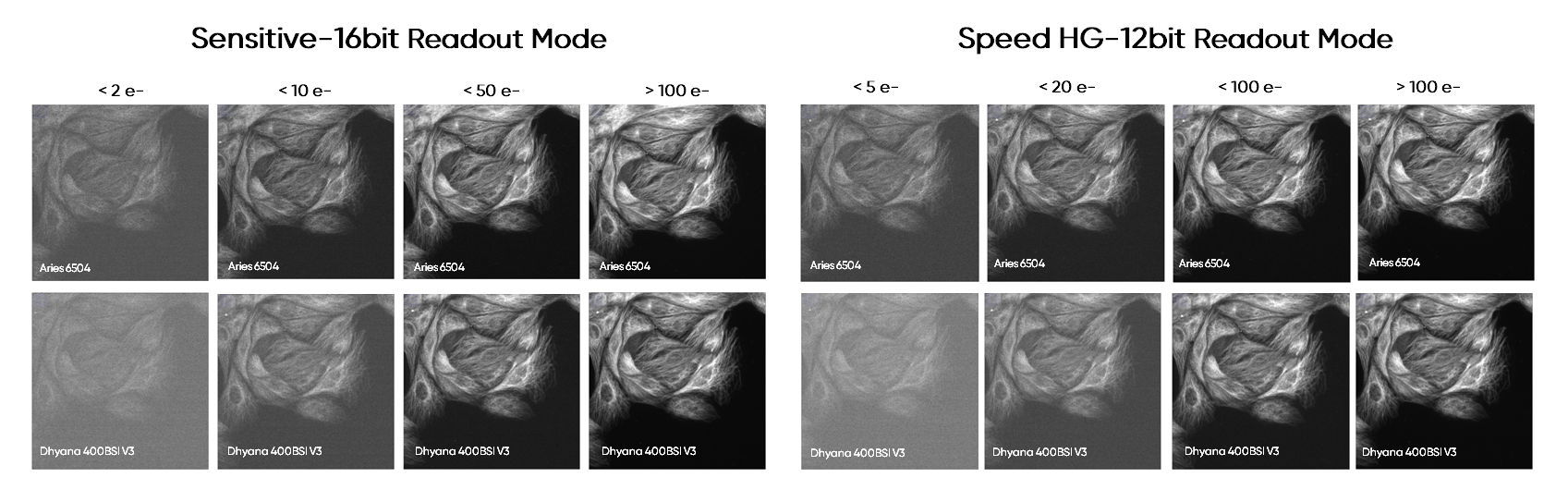1-Aries 6504 VS Dhyana 400BSI