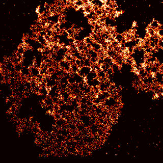 Single molecule imaging