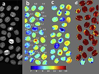Hyperspectral