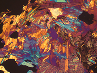 Polarized Light Microscopy  - Rock Sections