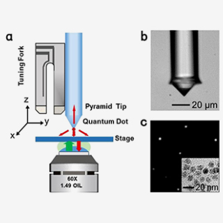 Quantum Imaging