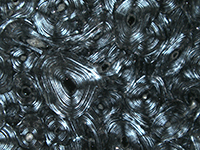 Polarized Light Microscopy  - Bone Tissue