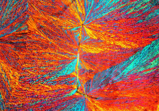 Terpene glycol hydrate under pola Polarized imaging