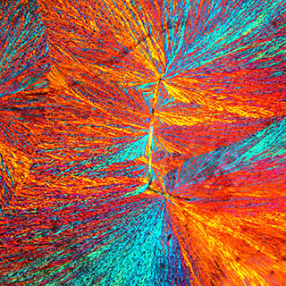 Polarizing Microscopy