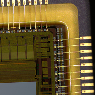 Stereo Microscopy