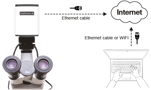 Wi-Fi Connectivity Functions