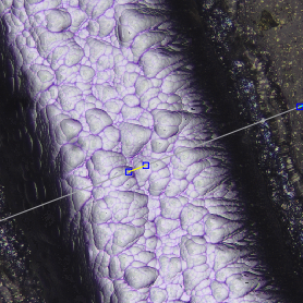 Wafer- Metallography 10X