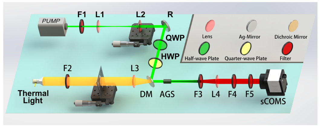 Advancing LWIR Upconversion Imaging with Analytical Modeling and High-Resolution Detection Using Dhyana 95