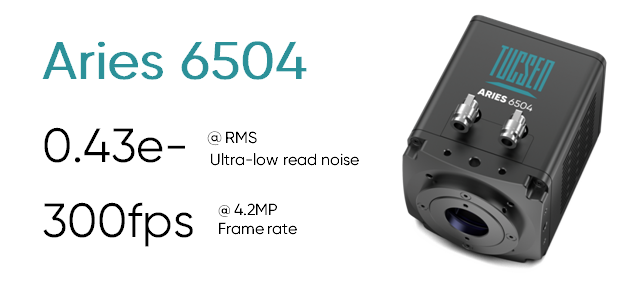 Aries 6504