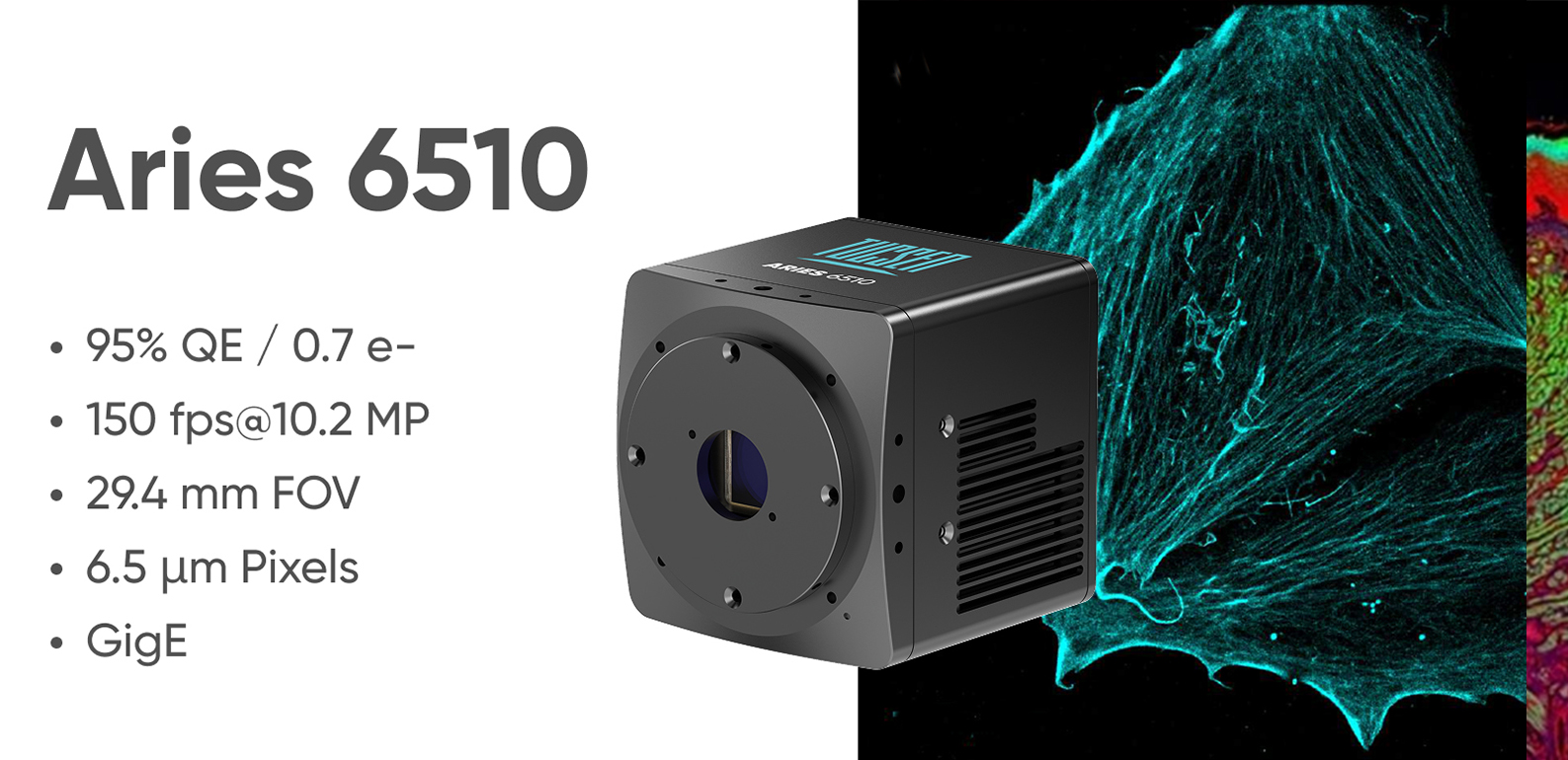 Aries 6510