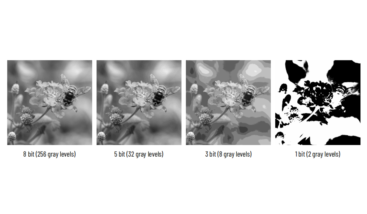 Bit Depth in Scientific Cameras: How It Impacts Image Quality and Data Accuracy