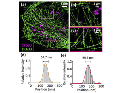 Two-color super-resolution
