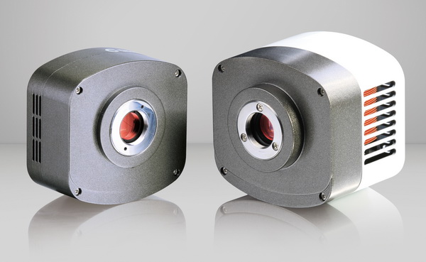 CCD Sensors