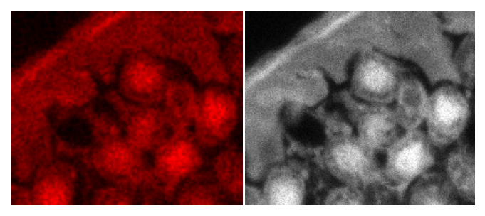 Comparison between color and monochrome camera images for low light work