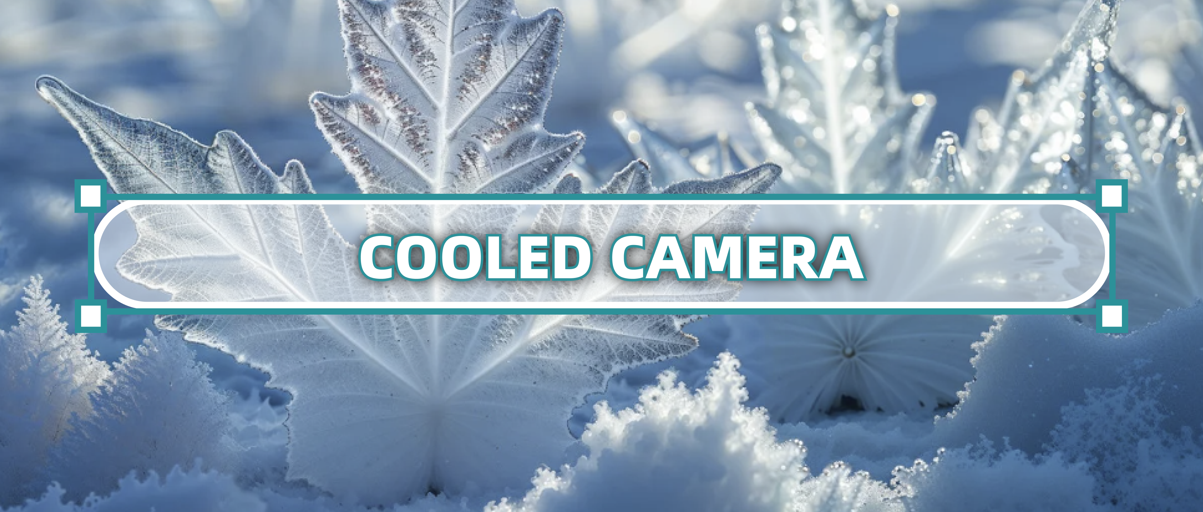 Why Are Cooled Cameras Becoming Essential for Advanced Industrial Inspection?