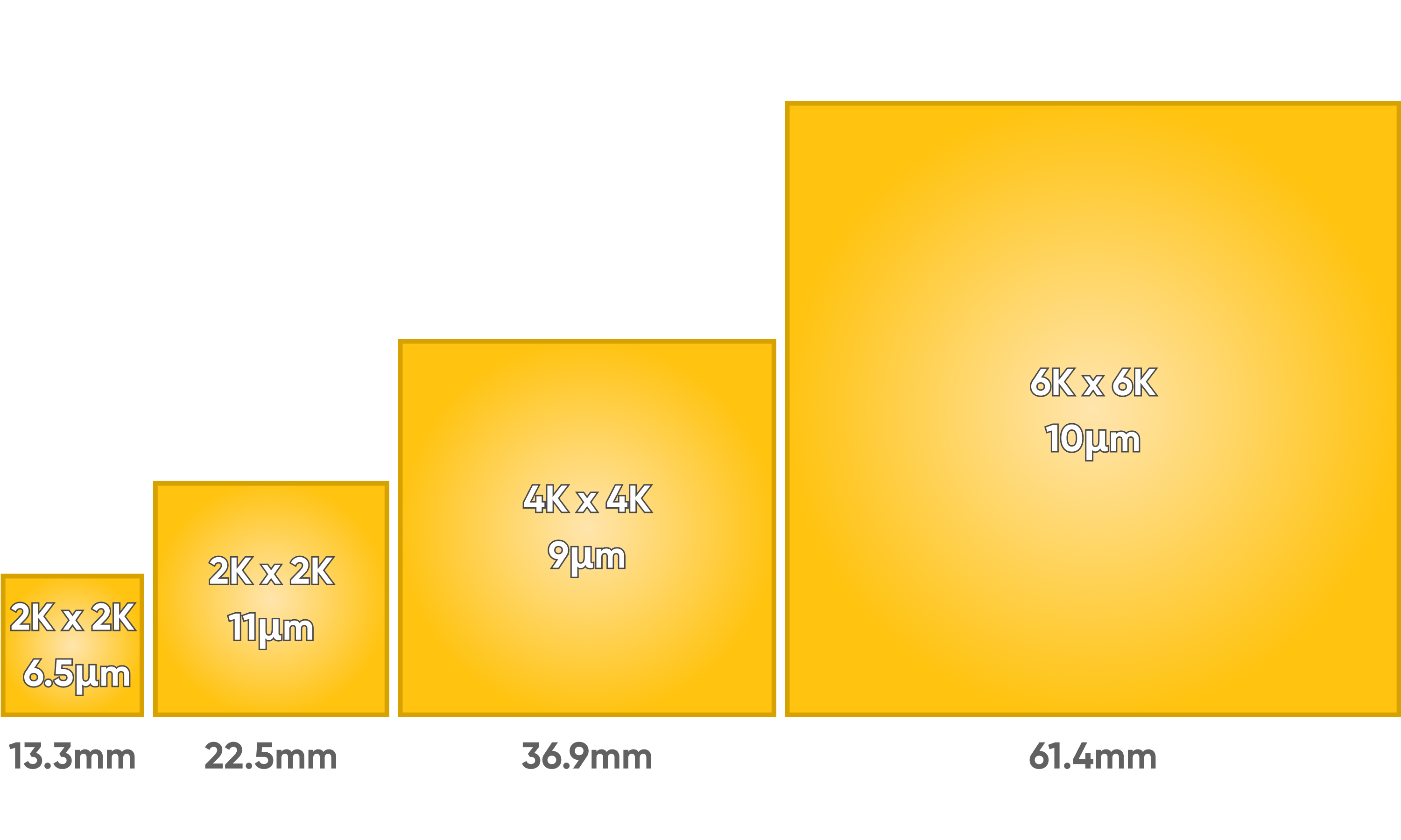 Varies Format Sensor Options