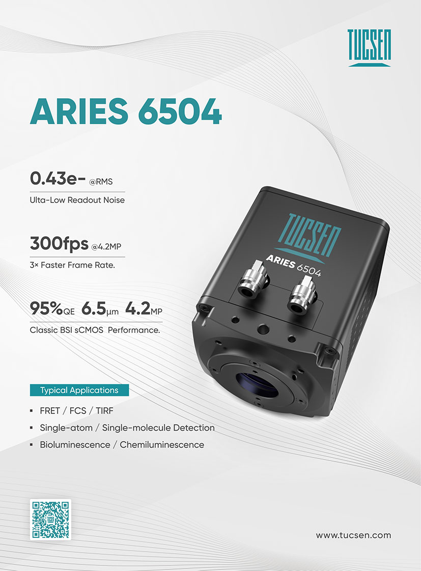 Aries 6504