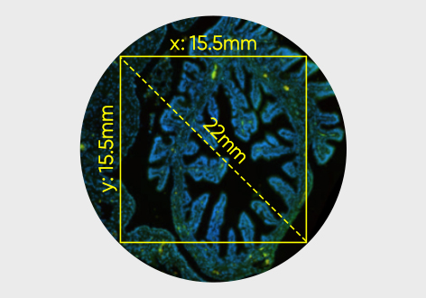 [ Effective Area ] It’s important for the field of view of your optical setup