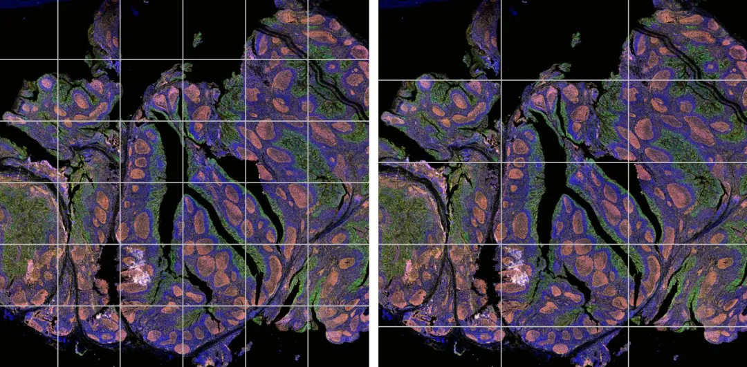 Example of Mosaic Stitching Counts at Different Imaging FOV