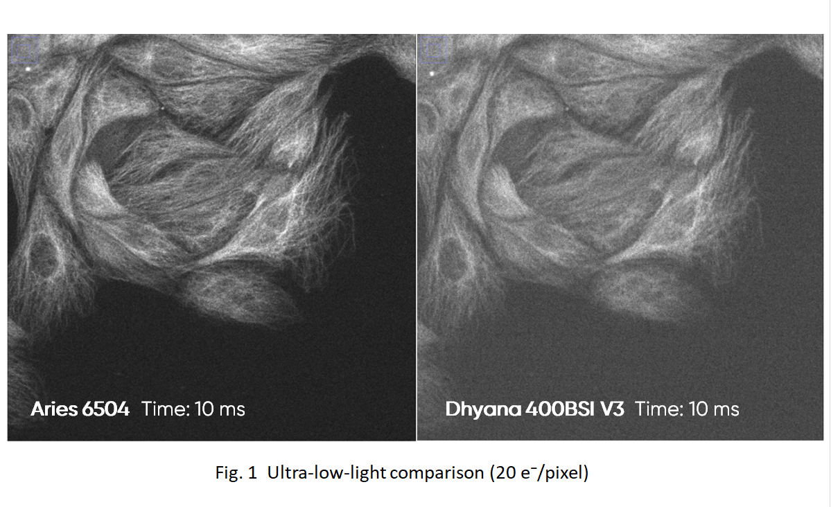 95% QE & 0.8 e⁻ (RMS) <br> High Sensitivity for Low-Light Imaging