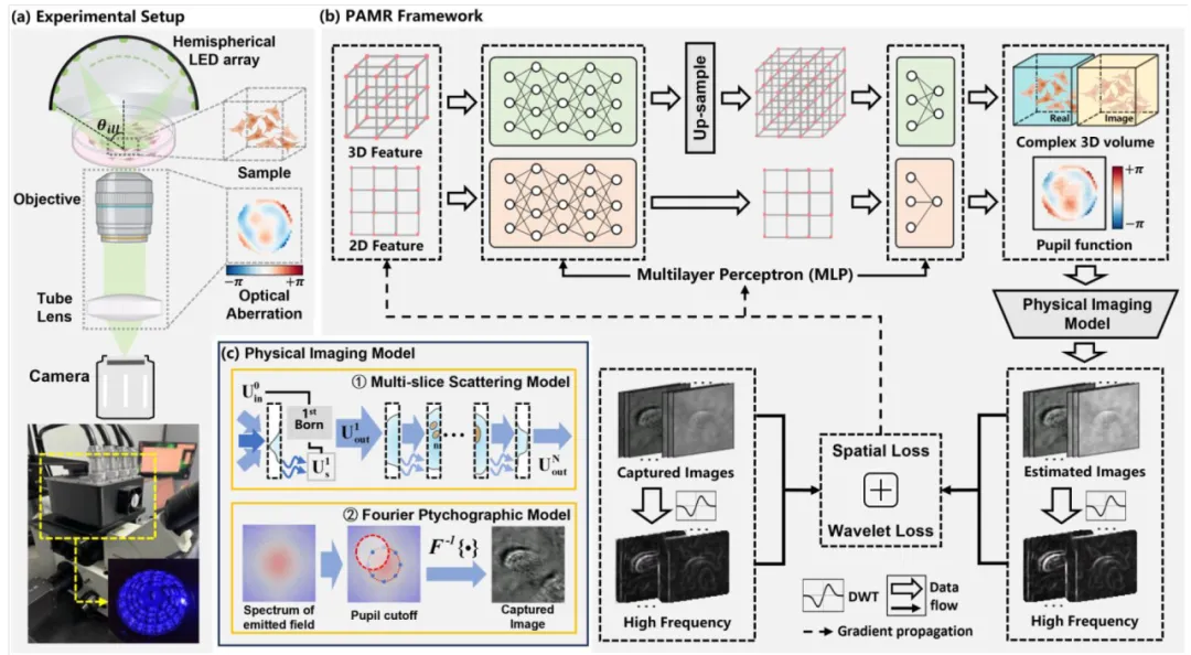 FL 9BW Camera for Label-Free 3D Live-Cell Microscopy