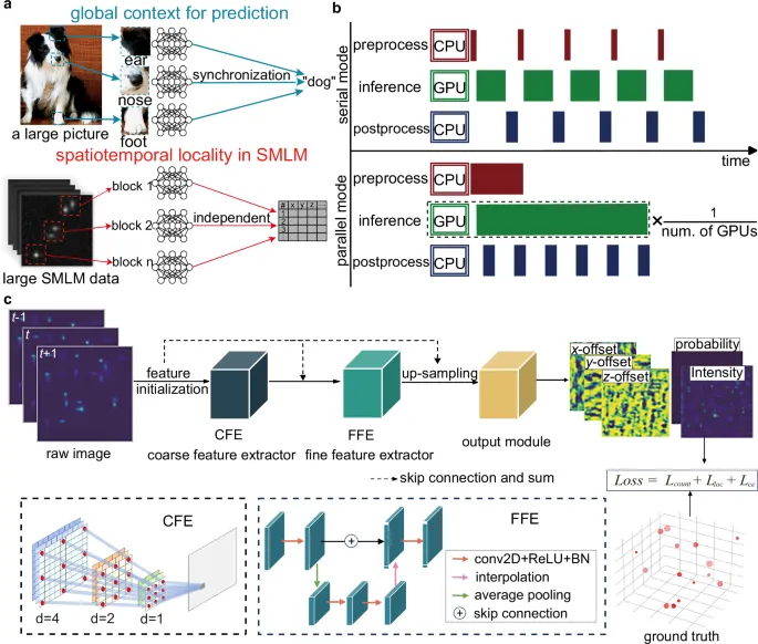 Dhyana 400BSI V3 camera for High-Throughput Single-Molecule Localization Microscopy
