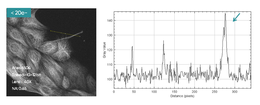 Figure 3. Measured images in High-Speed -12bit mode.