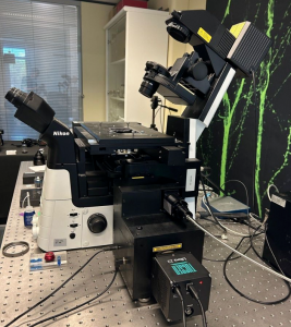Fluorescence imaging system equipped with a Libra 22 camera and CrestOptics spinning disk confocal module.