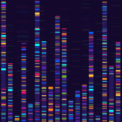 Gene Sequencing