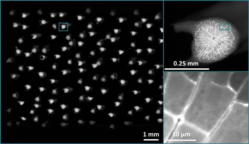 High-throughput fluorescence sample scanning