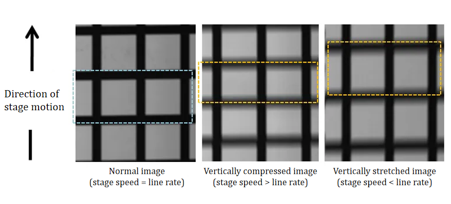 Image compression or stretching caused by mismatch between stage velocity and TDI line rate.