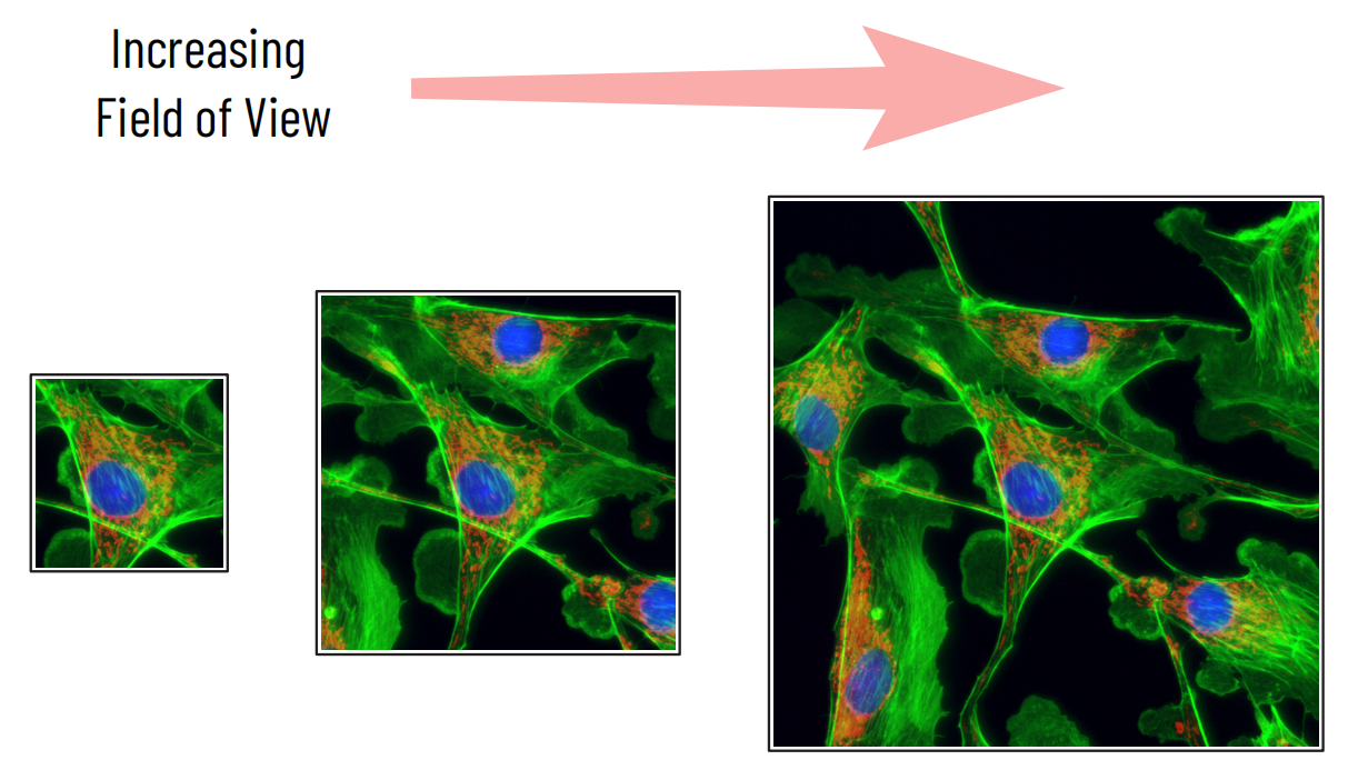 Understanding Camera Field of View in Microscopy and Imaging Techniques