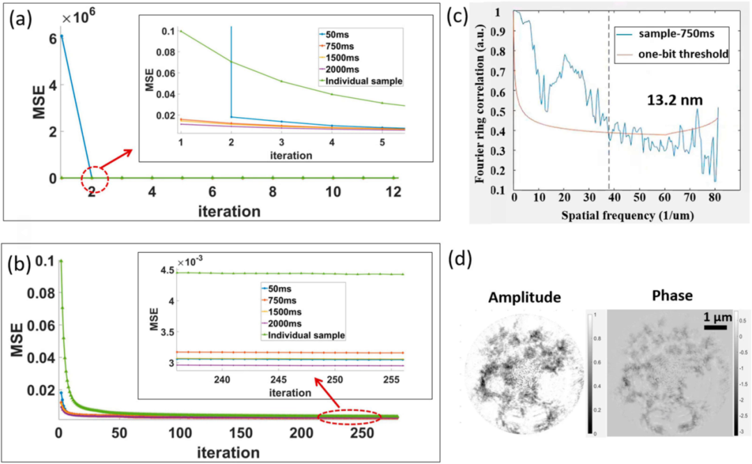 Dynamic Coherent X-ray Diffraction Imaging Achieves 13.2 nm Resolution Using Dhyana XV95