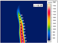 Flame temperature measurement