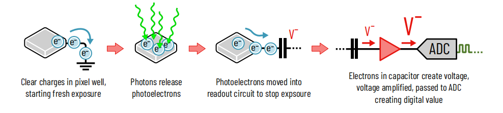 The four stages of typical signal exposure and measurement
