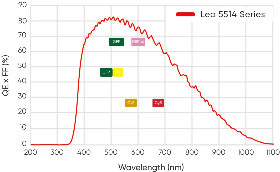 Quantum Efficiency Curve of the Leo 5514 Pro