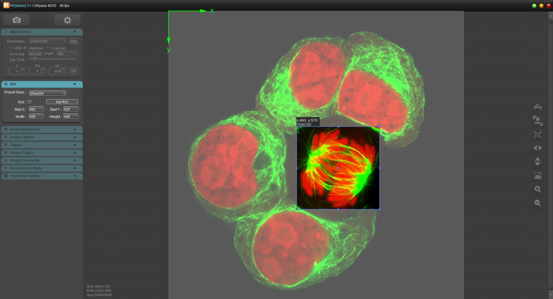 What Is ROI in Cameras? How It Affects Frame Rate and Data Load