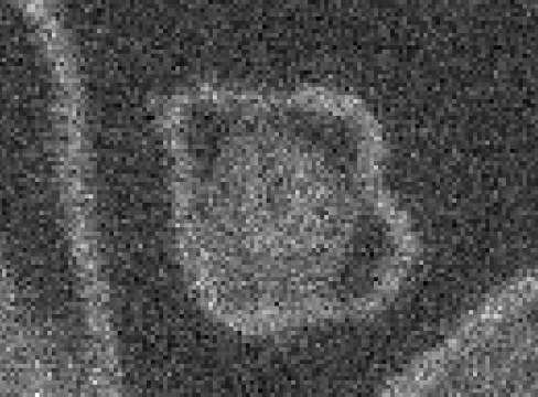 Read noise limited image