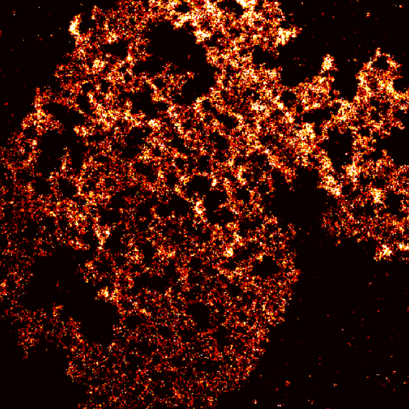 Single Molecule Imaging