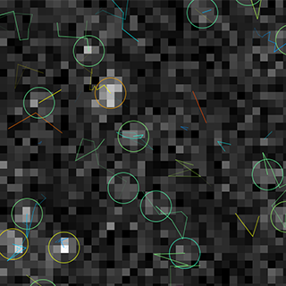 Single Molecule Localization and Tracking
