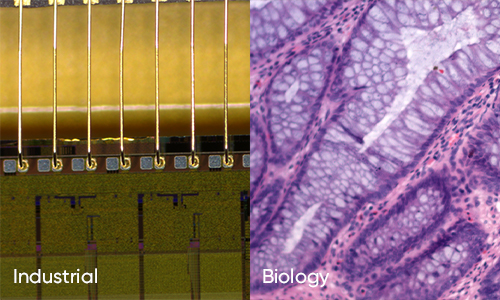 Professional Image Algorithms