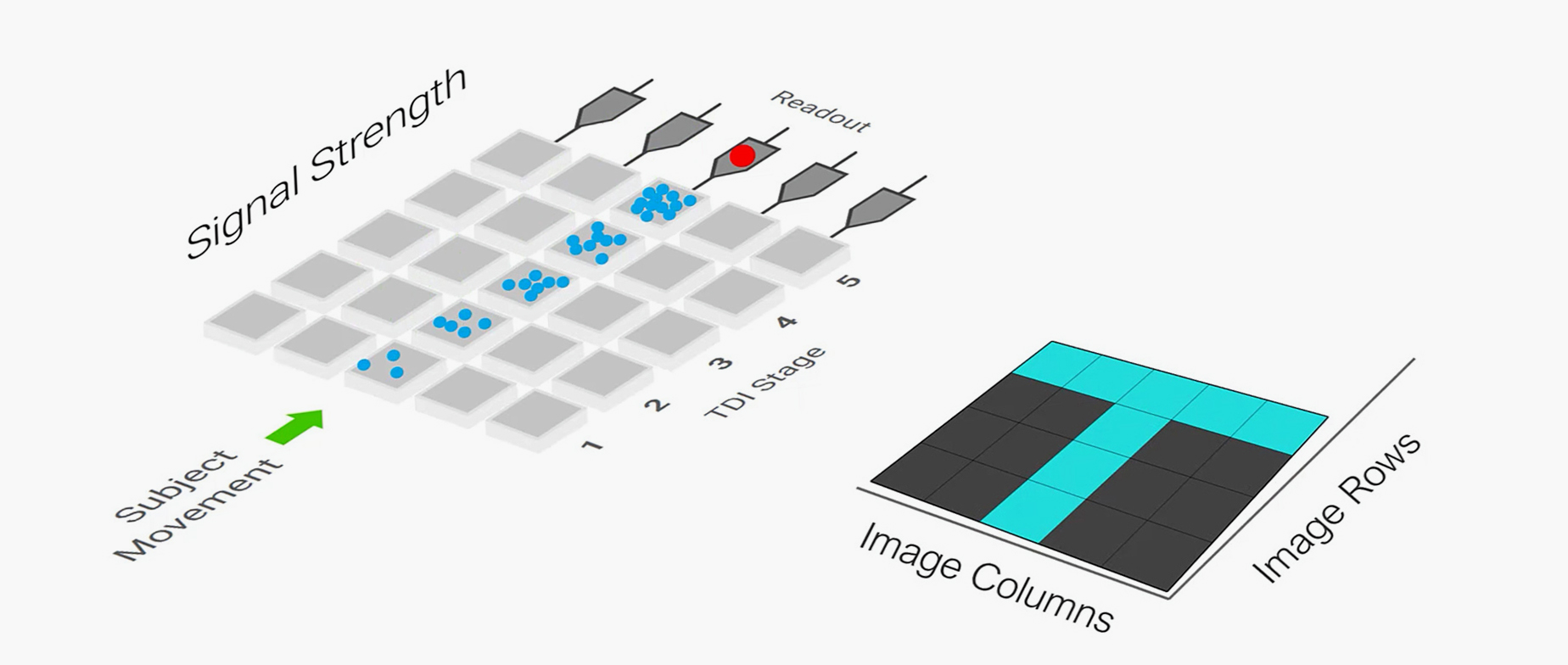 Scientific Cameras for Research and Challenging Inspection - Tucsen