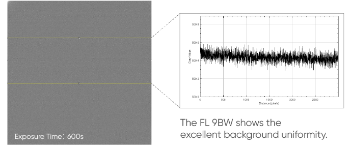 Tucsen cooled CMOS camera FL 9BW that the dark current is as low as 0.0005e/pixel/s.