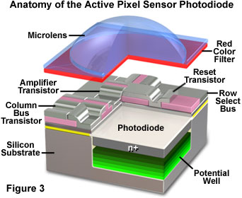 Anatomy of a Pixel: How Pixel Structure and Photodiodes Shape Scientific Imaging Performance