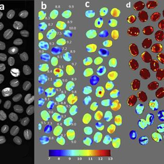 5 Spectral analysis
