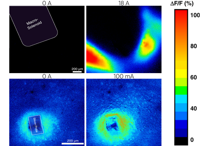 Neurite growth of trigeminal ganglion neurons in vitro with near-infrared light irradiation