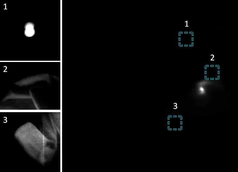 Back-Illuminated sCMOS <br>Optimized for Large-Format Low-Light Imaging