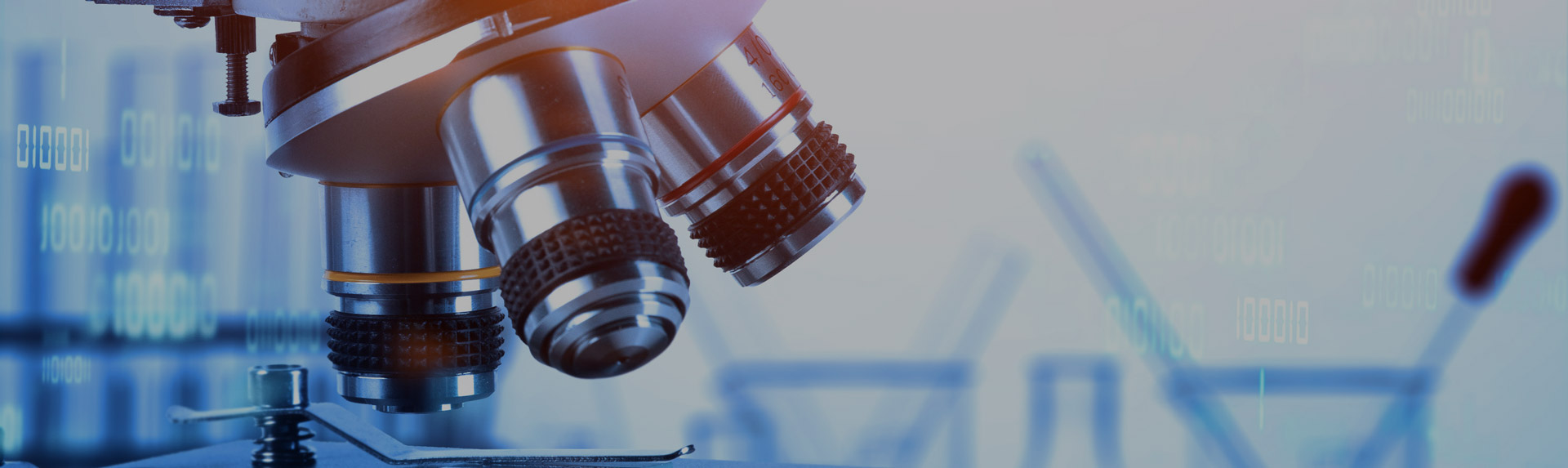 microscopy imaging
