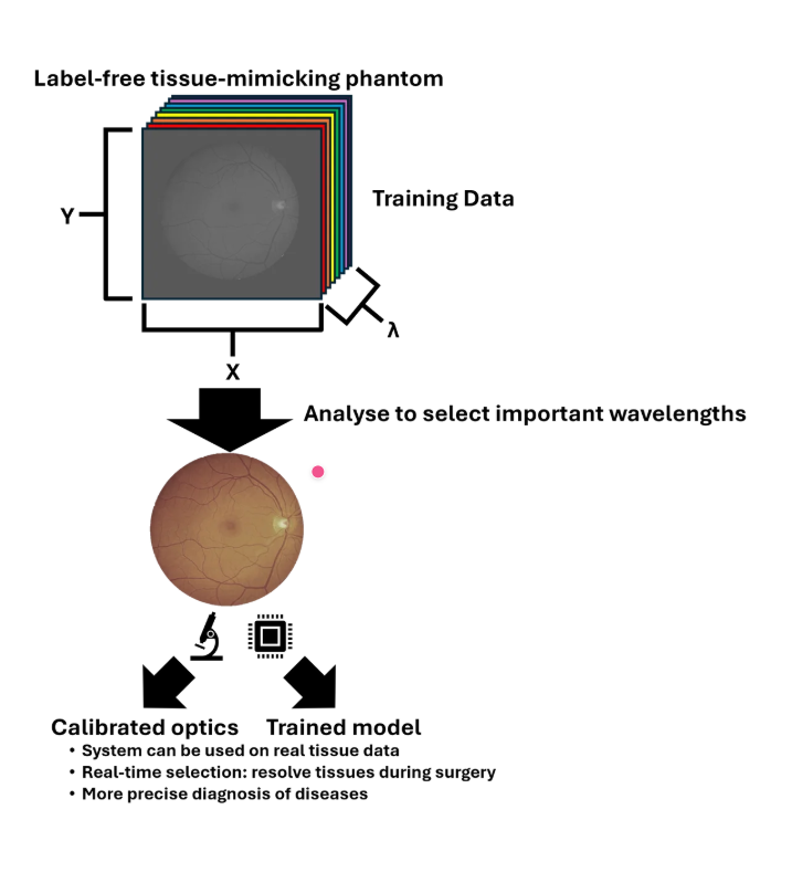 High-Speed Single Molecule Imaging with Tucsen Dhyana 2100 Scientific Camera at VU Amsterdam